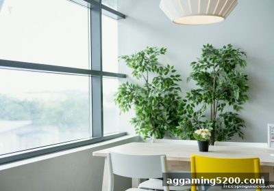 真人桌游支付革新：TRC20充值如何搭配免费旋转游戏重塑社交体验