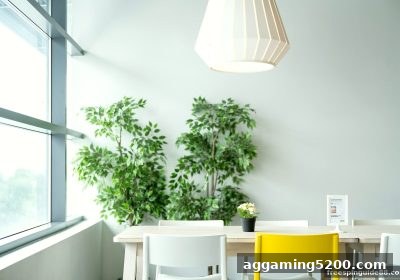 免费旋转游戏带您解锁PG电子真人娱乐：经典百家乐到未来科技的全方位指南