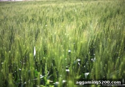 免费旋转游戏新手福利：首存优惠活动的终极领取攻略