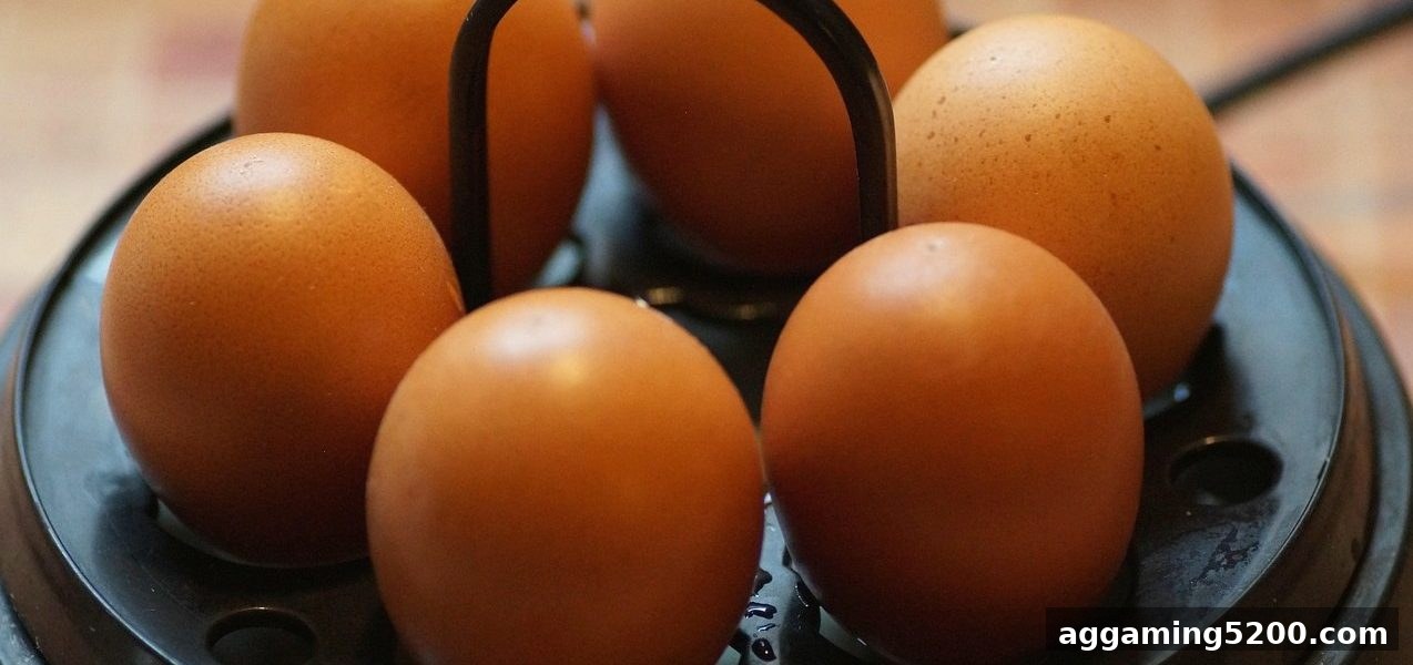 免费旋转游戏全攻略：连线玩法核心技巧与快速出款指南